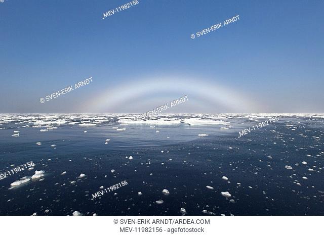 Fogbow in the arctic - Svalbard - Norway