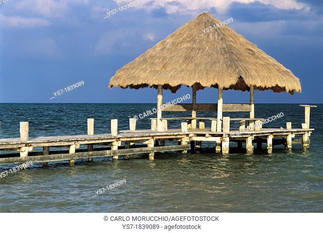 Puerto Morelos beach, Caribbean sea, Quintana Roo, Yucatan peninsula, Mexico, Central America