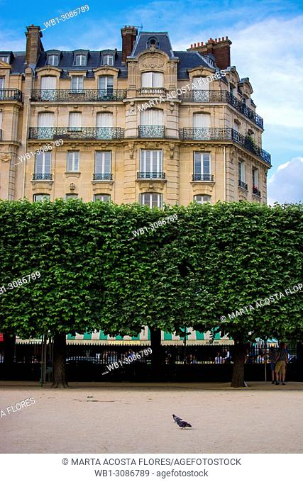 Haussmannian building facade in front of the Square Jean XXIII, in a sunny day. île de la Cité, Paris, France