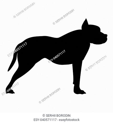 Pit bull terrier icon black color vector illustration flat style simple image