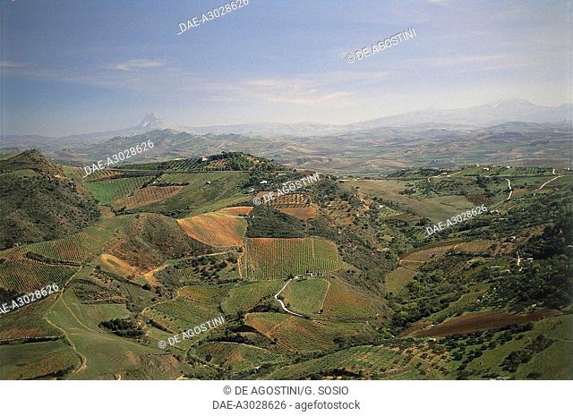 View of the agricultural landscape in the vicinity of Segesta, Sicily, Italy