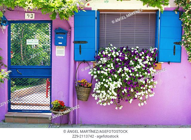 Purple wall decorated with flowers and plants, Burano, Venice, Italy