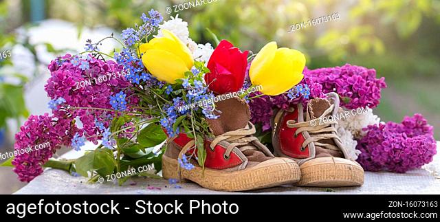 Banner of a bouquet of summer flowers in old shoes. Lilac tulips grow out of sneakers. Spring and summer floral background