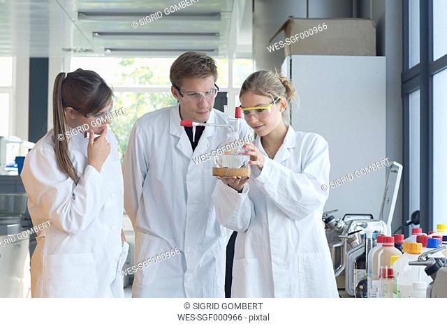 Three chemists working in a chemical laboratory