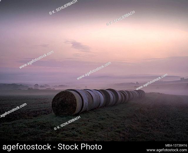 Europe, Germany, Hesse, hinterland, Lahn-Dill-Bergland Nature Park, Gladenbach, straw bales / round bales in a row in front of morning sky in the fog