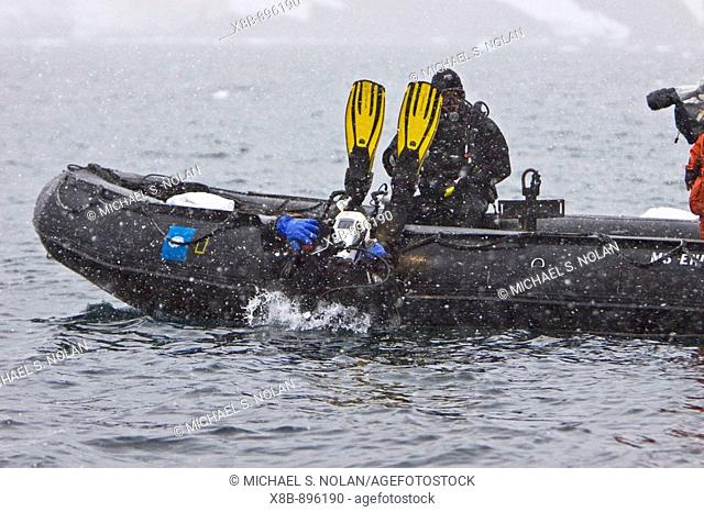 Divers Lisa Trotter and Robert Alexander enter the water with a large, curious, female leopard seal (Hydrurga leptonyx) near Booth Island on the western side of...