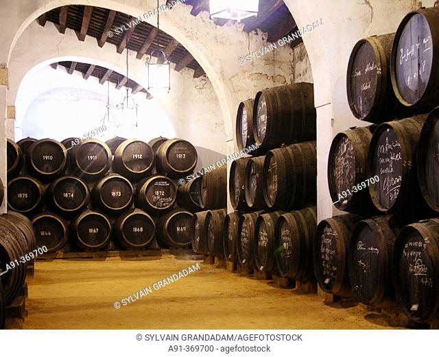 Gonzales Byass cellars (makers notably of Tio Pepe fino). City of Jerez de la Frontera. Andalucia. Spain