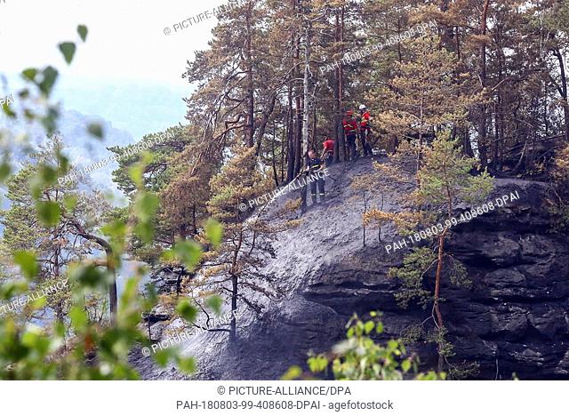 03 August 2018, Germany, Lohmen: Firefighters extinguish the forest fire in the forest area of Saxon Switzerland. Saxon Switzerland is one of the most popular...