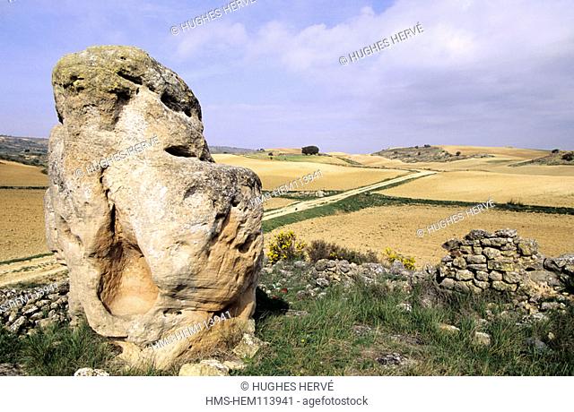 Spain, Castile la Mancha, a way across fields near Consuegra