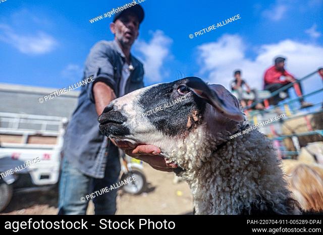 04 July 2022, Palestinian Territories, Deir al Balah: A young man holds a sheep at Deir al Balah livestock market ahead of the Muslim's holiday of Eid al-Adha