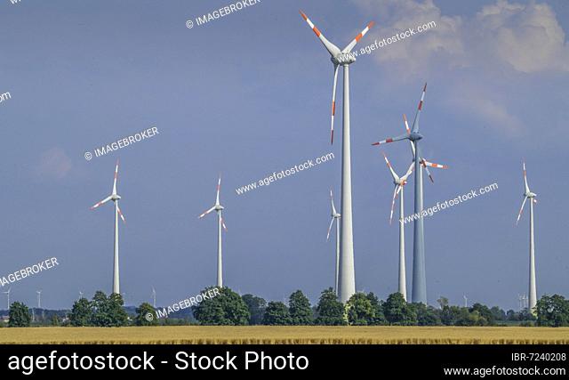 Wind turbines, field near Köthen, Saxony-Anhalt, Germany, Europe
