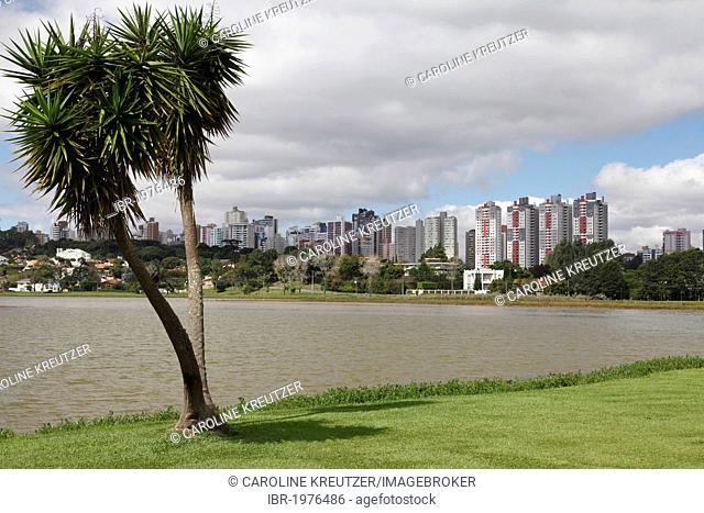 Barigui Park, Parque Barigui, skyline with skyscrapers behind, Curitiba, Parana, Brazil, South America