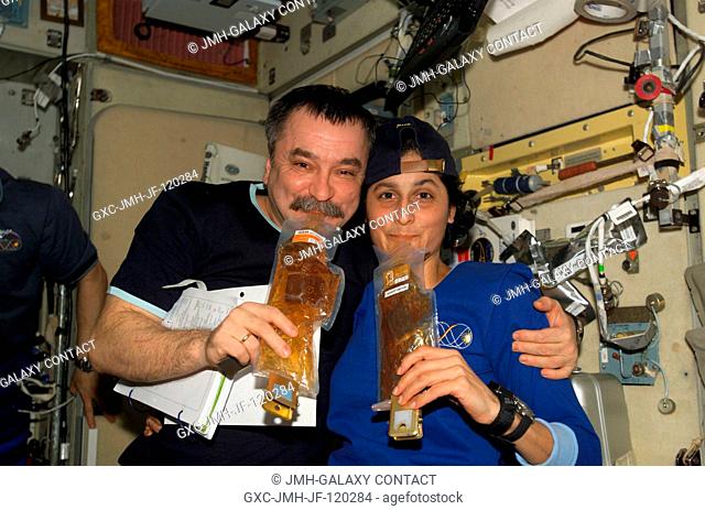 Cosmonaut Mikhail Tyurin (left), Expedition 14 flight engineer representing Russia's Federal Space Agency, and astronaut Sunita L