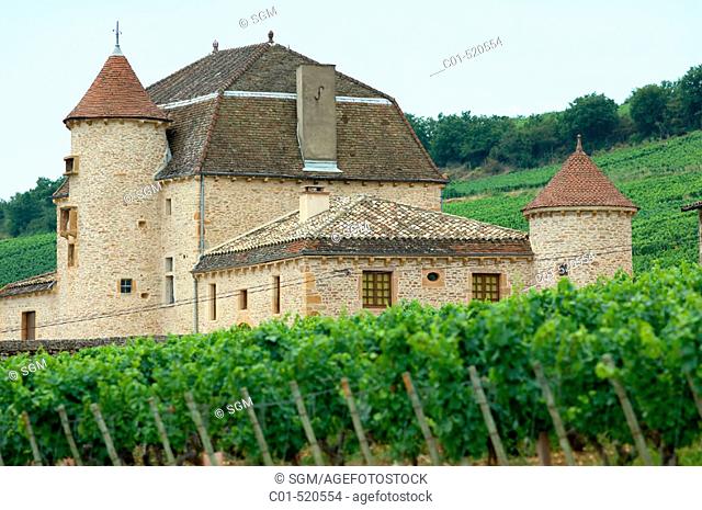 Vineyard and manor 'Pouilly' village. Mâconnais. Wine country. Burgundy. France