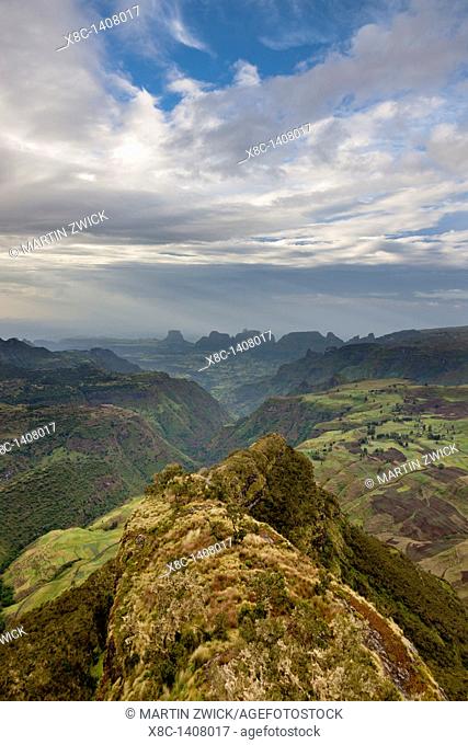 Landscape in the Simien Mountains National Park  AFter sunset at the escarpment near Chennek with a view of the escarpment
