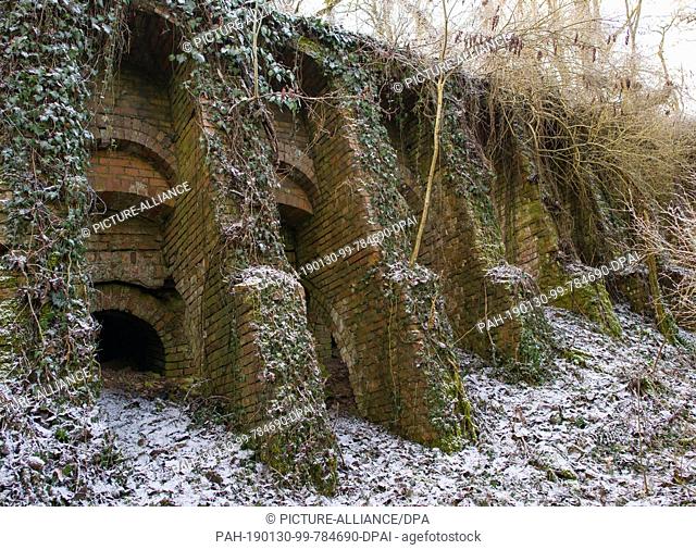 29 January 2019, Brandenburg, Sauen: The ivy overgrown and partly collapsed building of the old steam brickworks. The Philipp Holzmann & Cie