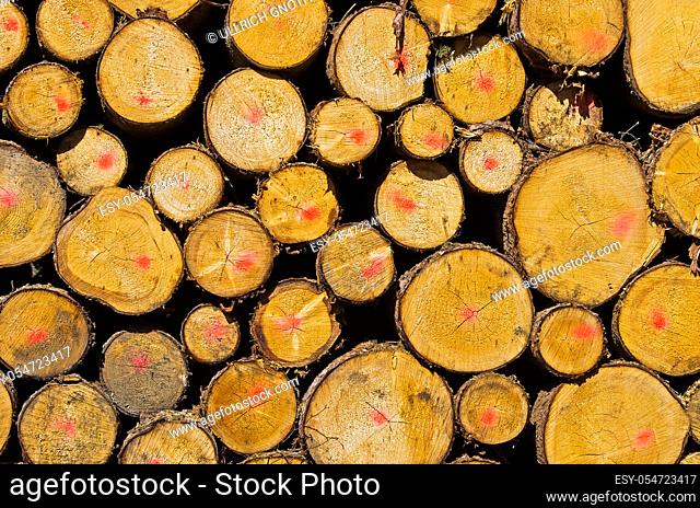 Felled wood, stacked as tree trunks