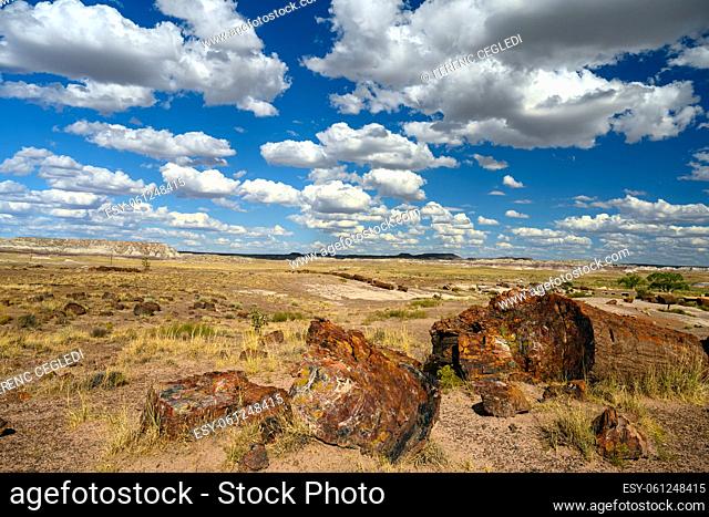 Petrified Forest National Park (fossils and large deposits of petrified wood from the late Triassic age) Arizona, USA