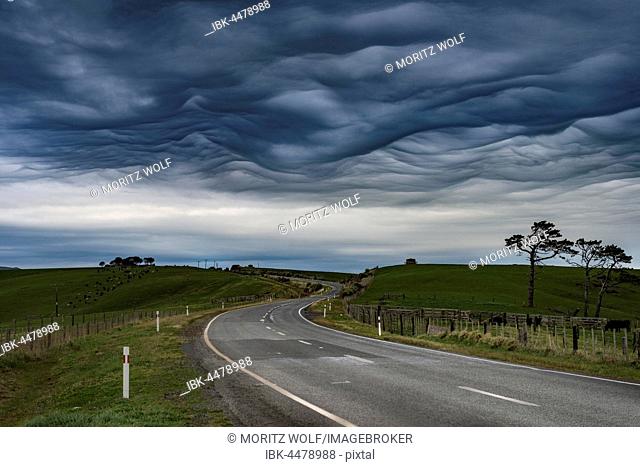 Highway, dramatic Mammatus Clouds, Aranga, Northland, New Zealand