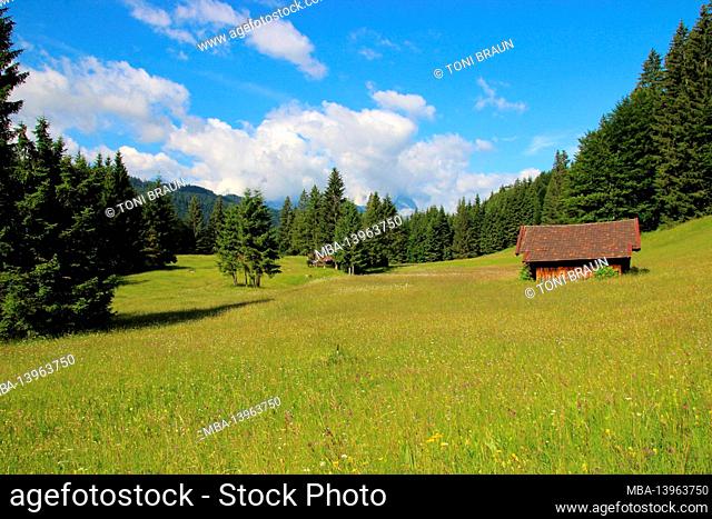 Hike near Gerold, near Klais, Europe, Germany, Bavaria, Upper Bavaria, Werdenfels, summer, fantastic meadows in front of the Wetterstein Mountains
