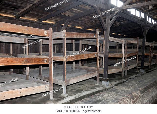 Camp de Birkenau - Baraquement en bois - Lits où les déportés dormaient à plusieurs