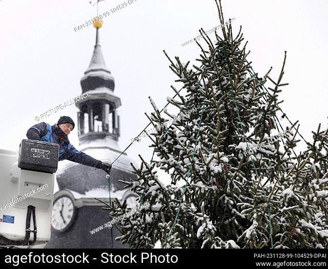 28 November 2023, Thuringia, Ilmenau: Electrician Axel Möller installs the lights on the snow-covered Christmas tree at the Apothekerbrunnen