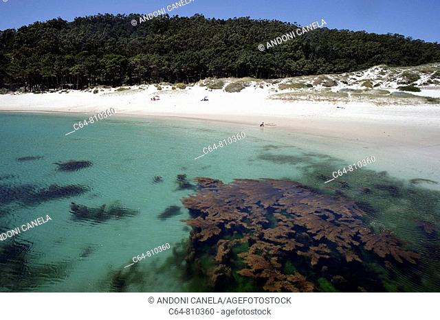 Rodas beach, Cies islands, Atlantic Islands National Park, Galicia, Spain