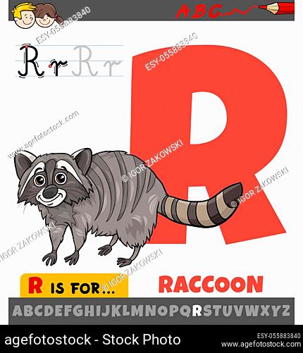 Educational cartoon illustration of letter R from alphabet with raccoon animal for children