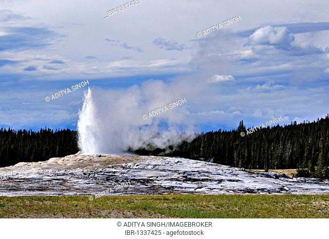 Old faithful geyser in Yellowstone National Park, Wyoming, USA