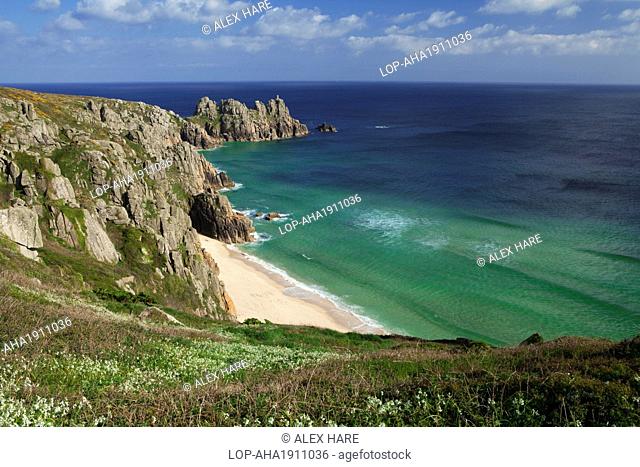 England, Cornwall, Porthcurno. A view along the rocky headland towards Logan Rock from Treen cliffs. Porthcurno bay and beach enclosed by the Logan rock...