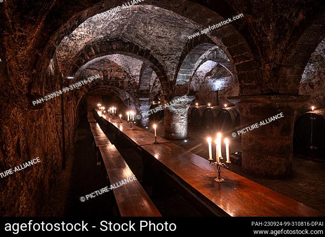 PRODUCTION - 19 September 2023, Trier: Wooden wine barrels are stored, tables and benches for tastings stand in the wine cellar of the Vereinigte Hospitien...