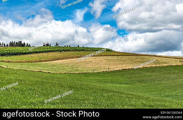 Panoramic view over the agriculture fields and meadows of the East-Belgian countryside near Burg-Reuland, Belgium