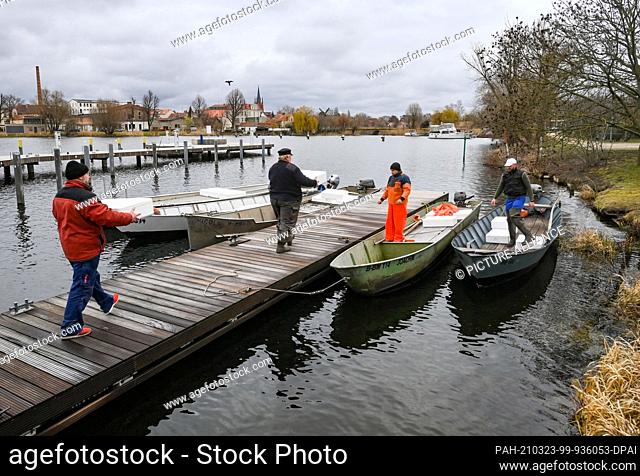 23 March 2021, Brandenburg, Werder (Havel): Three million glass eels are handed over to commercial fishermen in transport crates and released by them into the...