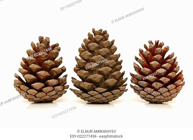 Three pine cones isolated on white background