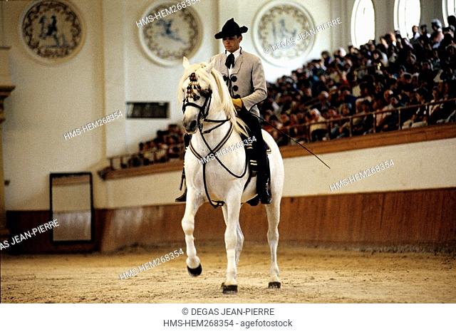 Spain, Andalusia, Cadiz Province, Jerez de la Frontera, Royal Andalusian School of Equestrian Art, horseman repeating the evening show
