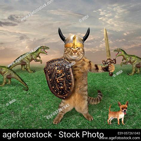 The cat warrior with a sword and a shield fights the dragons in the field. His dog is next to him