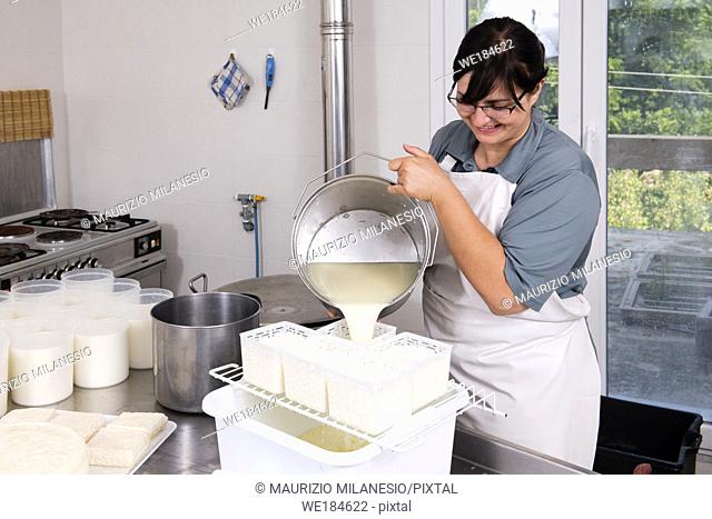 Cheesemaker pours the curdled milk into plastic forms to shape the cheese