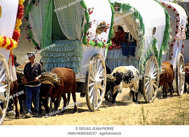 Spain, Andalusia, Huelva Perovince, El Rocio pilgrimage Pentecost, most important pilgrimage in Spain, the arrival of the horses-drawns of the Hermandad...