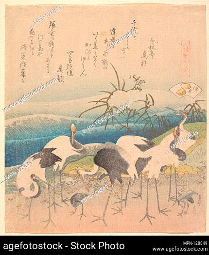 Ashi Clam, from the series Genroku Kasen Kai-awase. Artist: Katsushika Hokusai (Japanese, Tokyo (Edo) 1760-1849 Tokyo (Edo)); Period: Edo period (1615-1868);...