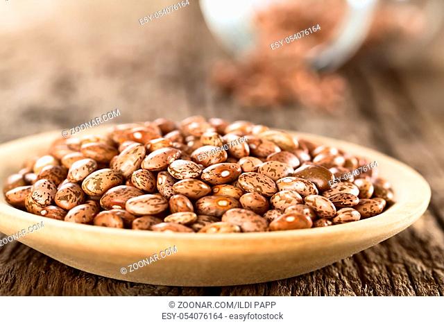Raw dried pinto beans on wooden plate (Selective Focus, Focus one third into the beans)