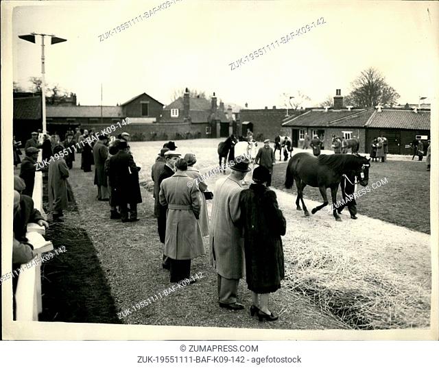 Nov. 11, 1955 - Opening Of The Newmarket December Sales Tulyar Colt Withdraw After 6, 200 Guineas Bid: Over a thousand horses are being offered for sale - more...