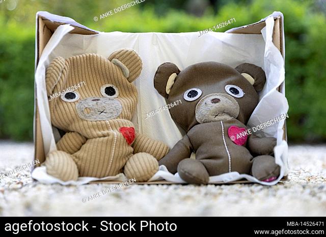 Two stuffed bears with the heart in the right place