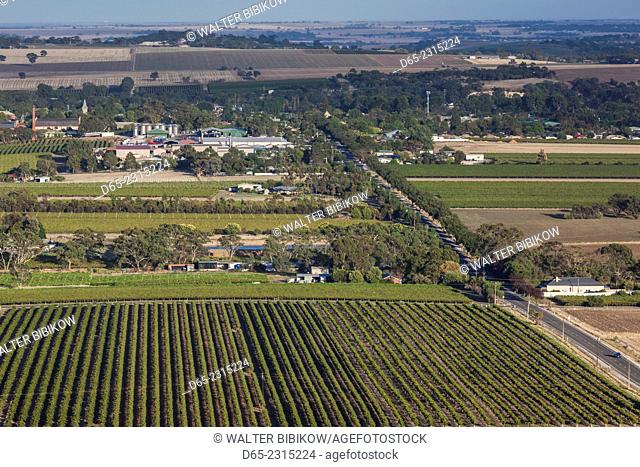 Australia, South Australia, Barossa Valley, Tanunda, elevated vineyard view from Mengler's Hill