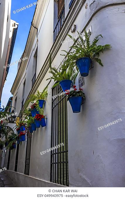 White walls and blue flower pots at Calleja de las Flores (The Street of Flowers)