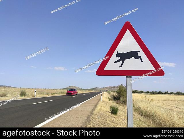 Metal pole with traffic signal warning iberian lynx crossing. Roadâ. “kills are considered a chief cause of death in the Iberian lynx