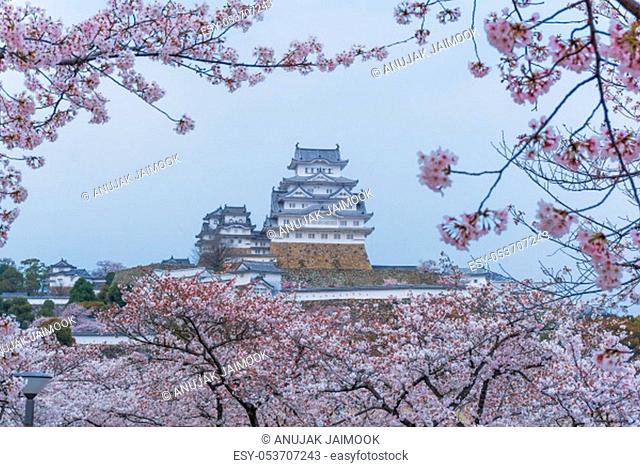 Himeji Castle known as White Heron Castle due to its elegant, white appearance. The castle is both a national treasure and a world heritage site