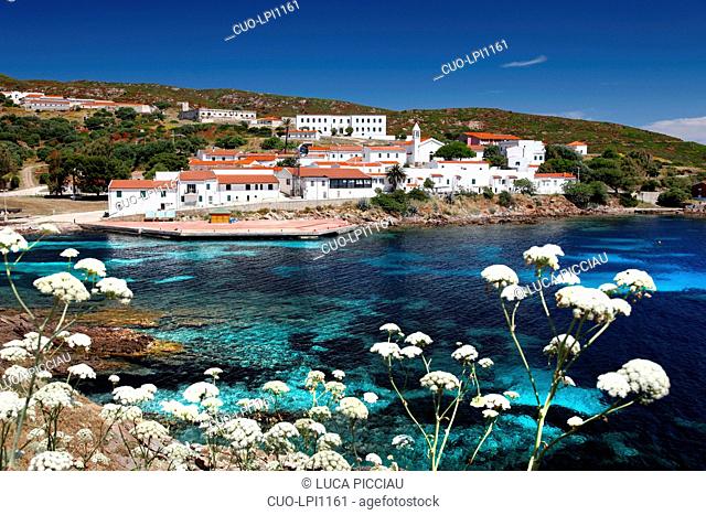 Cala d'Oliva, Asinara island, Porto Torres, Sardinia, Italy, Europe