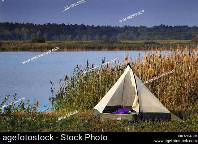 Tent at the Stresow lake in the Wrechower Aue, nature reserve Aland-Elbe lowlands, UNESCO biosphere reserve river landscape Elbe, Kolonnenweg, Lochplattenweg