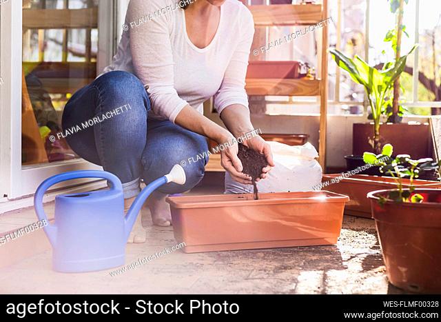 Mid adult woman putting mud in pot while crouching at balcony
