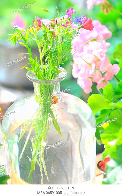 Flowers in glass vase, still life
